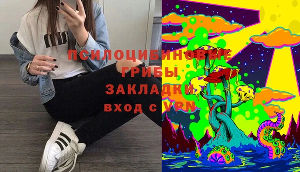 a pvp Аркадак